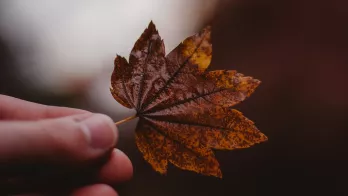 Uniformation propose des ressources en ligne sur le thème de la préservation de l’environnement